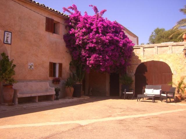Finca Can Rotger Cas Concos Exterior photo
